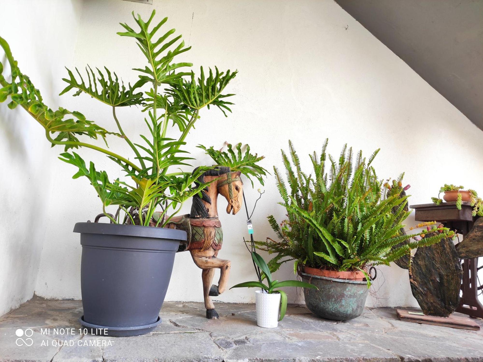 La Casa A Mare B&B เมสซีนา ห้อง รูปภาพ