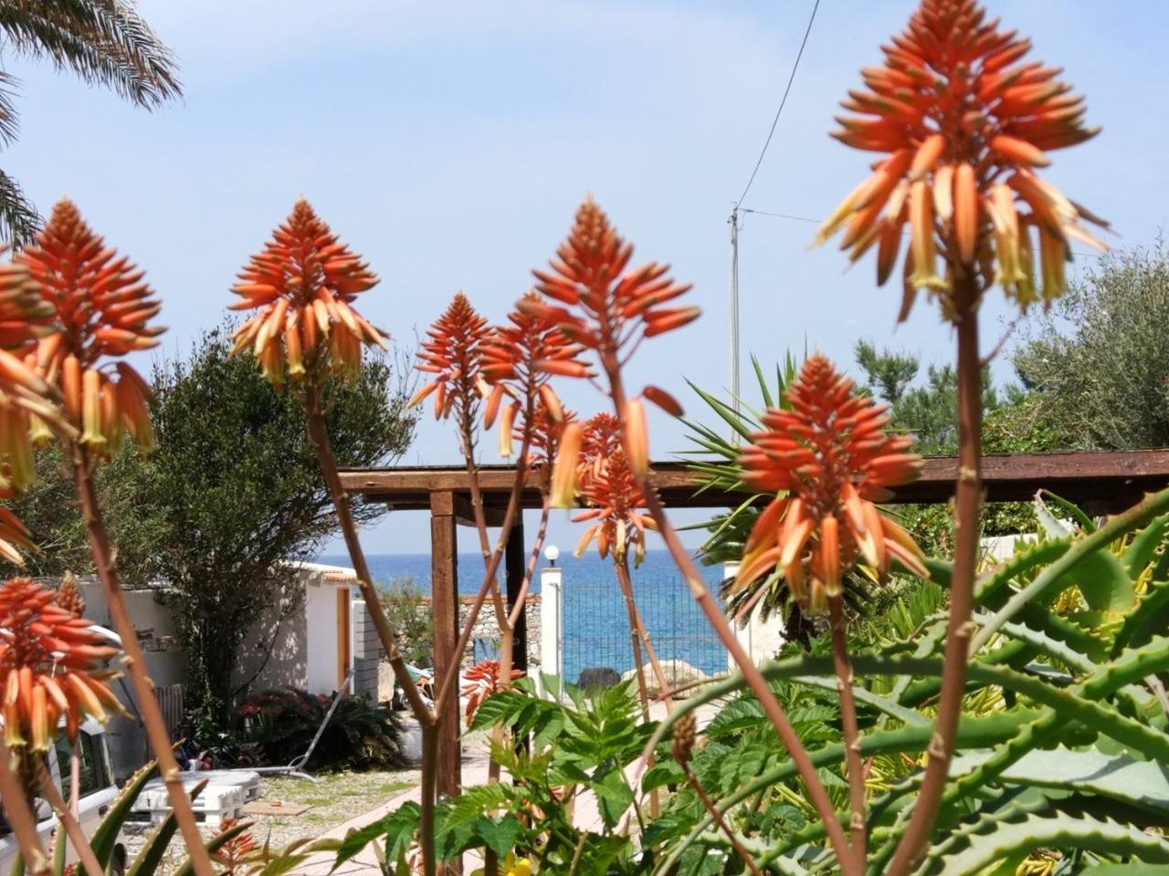 La Casa A Mare B&B เมสซีนา ภายนอก รูปภาพ